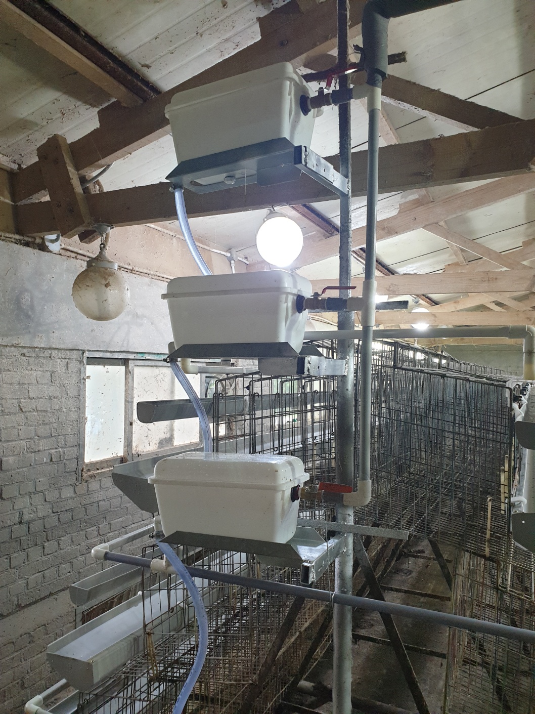 2023년 산란계사 실험기자재  1번째 첨부파일 이미지