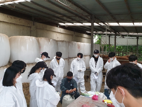 인공수정 및 직장검사  대표이미지