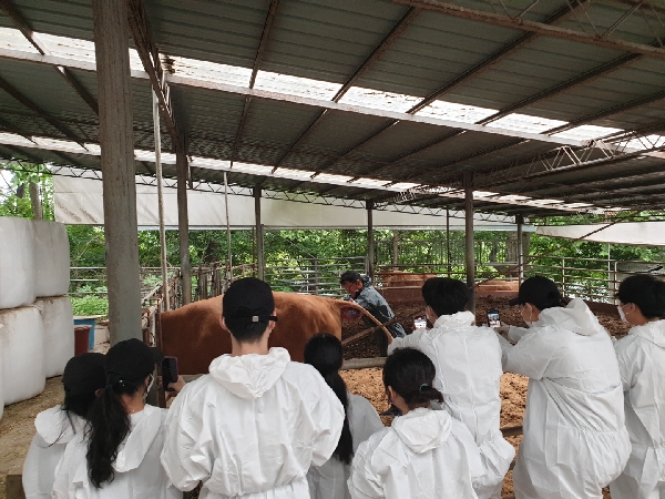인공수정 및 직장 검사 대표이미지