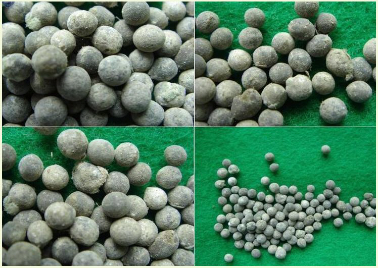 헤어리베치 종자 사진 대표이미지